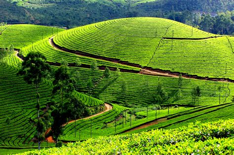 5 Best Kerala Destinations