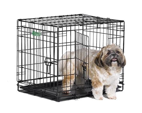 Best Dog Cage For Shih Tzu Dog N Treats