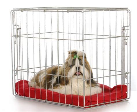 Best Dog Cages To Keep Your Doggo Safe Comfortable Keep Your Pets