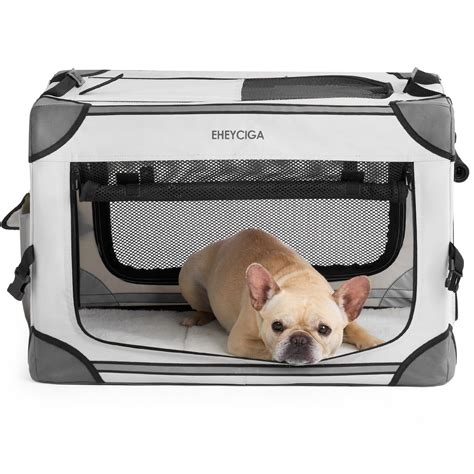 Best Dog Crate For Training And Travel In 2023 Alpha Paw