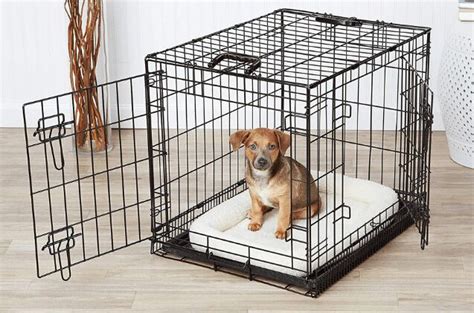 Best Dog Crates Petguide