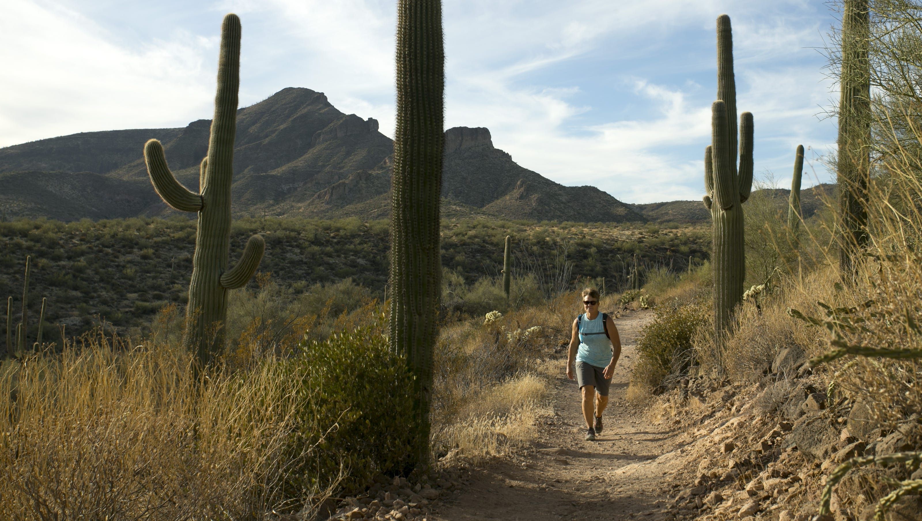 Best Easy Hikes In Phoenix South Mountain Scottsdale Lake Pleasant