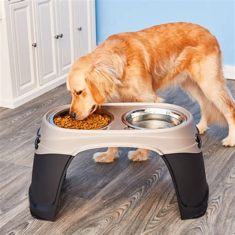 Best Elevated Dog Food Bowls At Danny Mendoza Blog