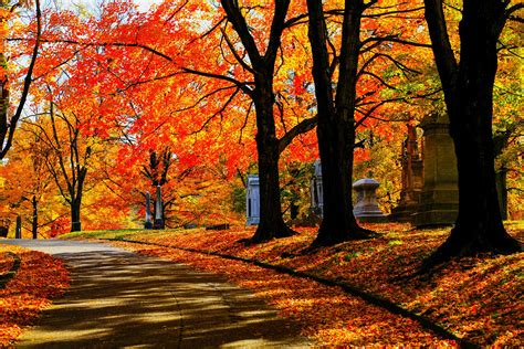 Best Fall Foliage Destinations