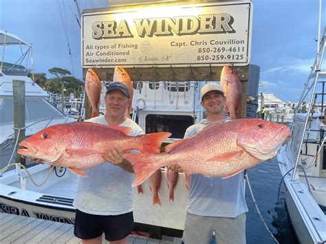 Best Fishing Charter In Destin Award Winning Deep Sea Fishing