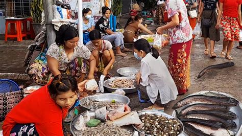 Best Fresh Fish Market Near Me In Yangon Myanmar Youtube