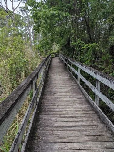 Best Hikes And Trails In Destin Alltrails