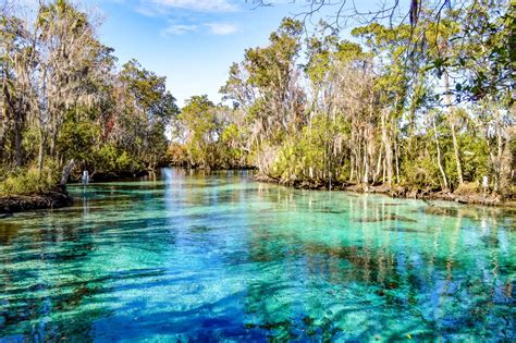 Best Natural Springs In Florida A Couple For The Road