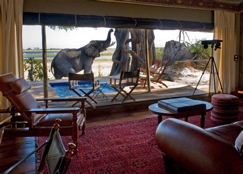 Best Of South Africa Amp Botswana Luxury African Safari Victoria Falls Cape Town Amp Winelands