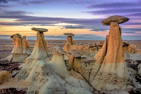 5 Best NM Places