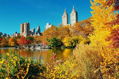 Best Places to Visit in USA November