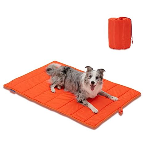 Best Portable Dog Beds Bricks Chicago