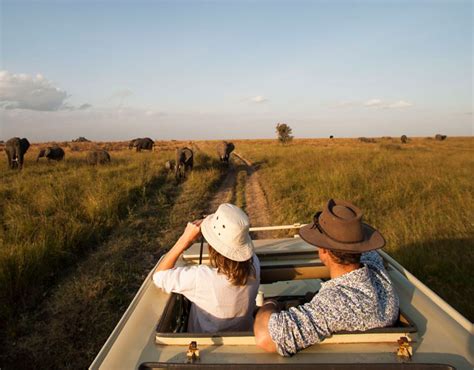 Best Safari Destinations Luxury Safari Company