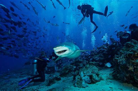 Best Scuba Diving Destinations