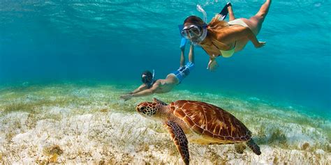 5 Best Caribbean Snorkeling Spots