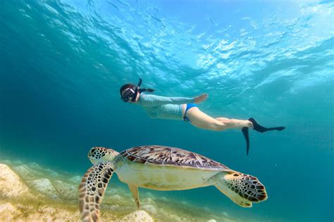 Best Snorkeling Destinations