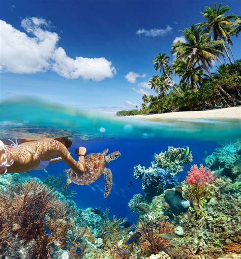 Best Snorkeling In The World Best Restaurants