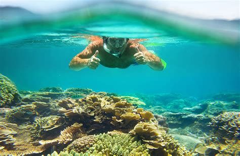 Best Snorkeling In The World Here S Our Top 10 Location Picks