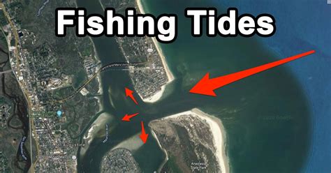 Best Tides For Fishing A Guide On Fishing Tides 2024 Atlantic