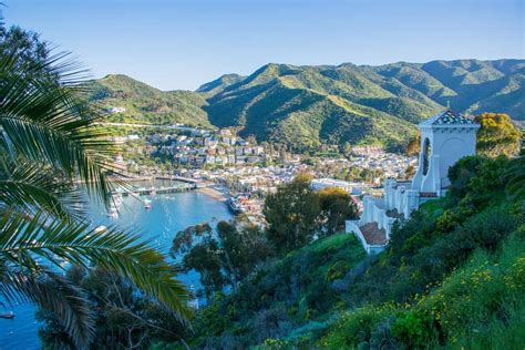 Best Time To Visit Catalina Island Insider Tips From A Local 2023