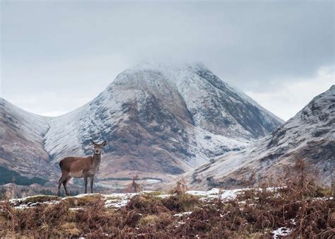 Best Time To Visit Scotland Climate Guide Audley Travel