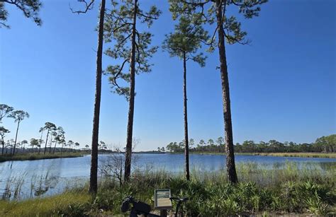 Best Trails In Grayton Beach State Park Florida Alltrails