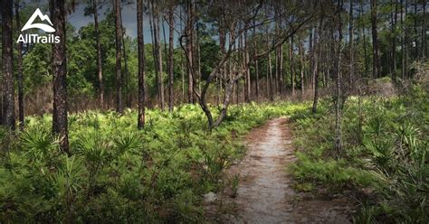 Best Trails Near Santa Rosa Beach Florida Alltrails