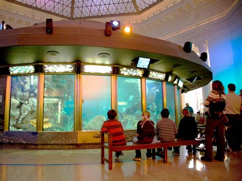 Best Us Aquariums Travelchannel Com Travel Channel