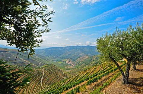 Best Wine Destinations In Europe Europe S Best Destinations