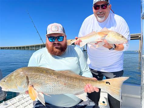 Big Reds Under The Destin Bridge R Saltwaterfishing