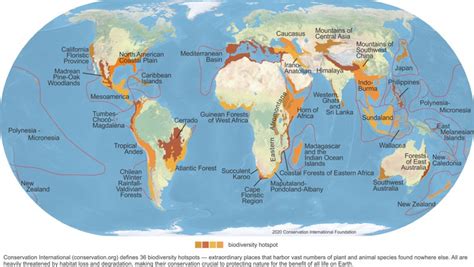 Biodiversity Fact Sheet Biodiversity Facts Biodiversity Charts And