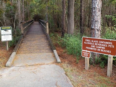 Blackwater River State Park Holt All You Need To Know Before You Go Updated 2020 Holt Fl