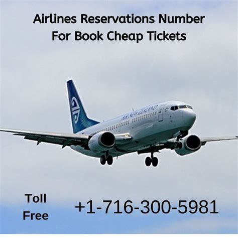 Book Cheap Flights To Denver Colorado Book Cheap Flights Cheap