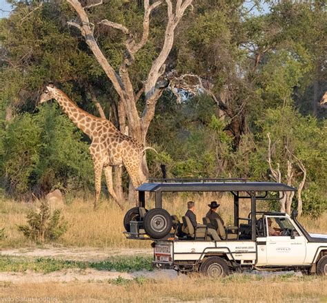 Botswana Zimbabwe Safari View Itinerary