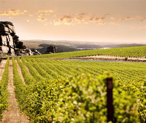 Breathtaking Australian Vineyards To Pay A Visit