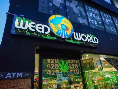 Brooklyn Weed Sector Takes Hit State Rolls Up With Cease And Desists