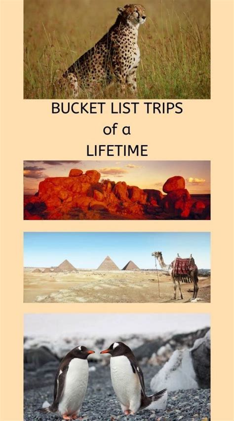 Bucket List Trips Of A Lifetime Artofit