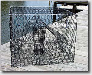 Building A Crabpot Blue Crab Trap Crab Trap Salt Water Fishing