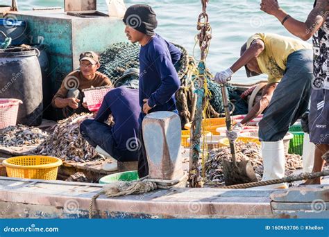 Burmese Crew Of Thai Fishing Boat Sorting Fish Editorial Photo Image Of Thailand East 160963706