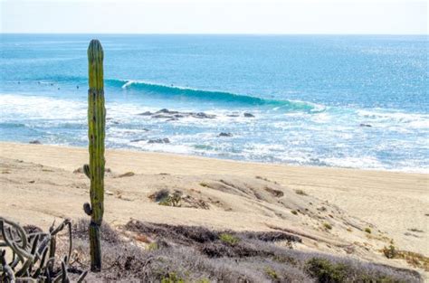 Cabo Surfer San Jose Del Cabo All You Need To Know