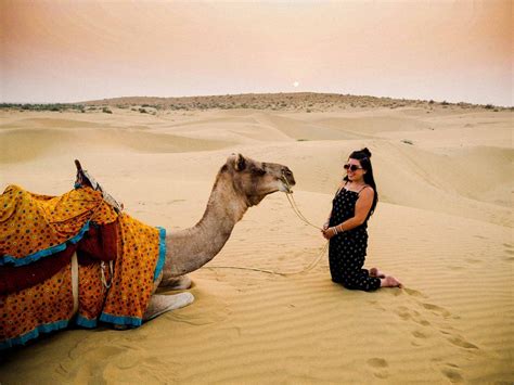 Camel Safari In Jaisalmer 8 Important Tips To Have A Great Time