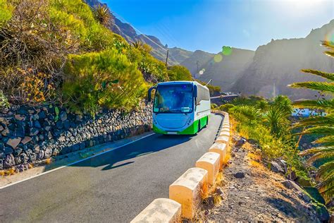 Canary Islands Travel Guide