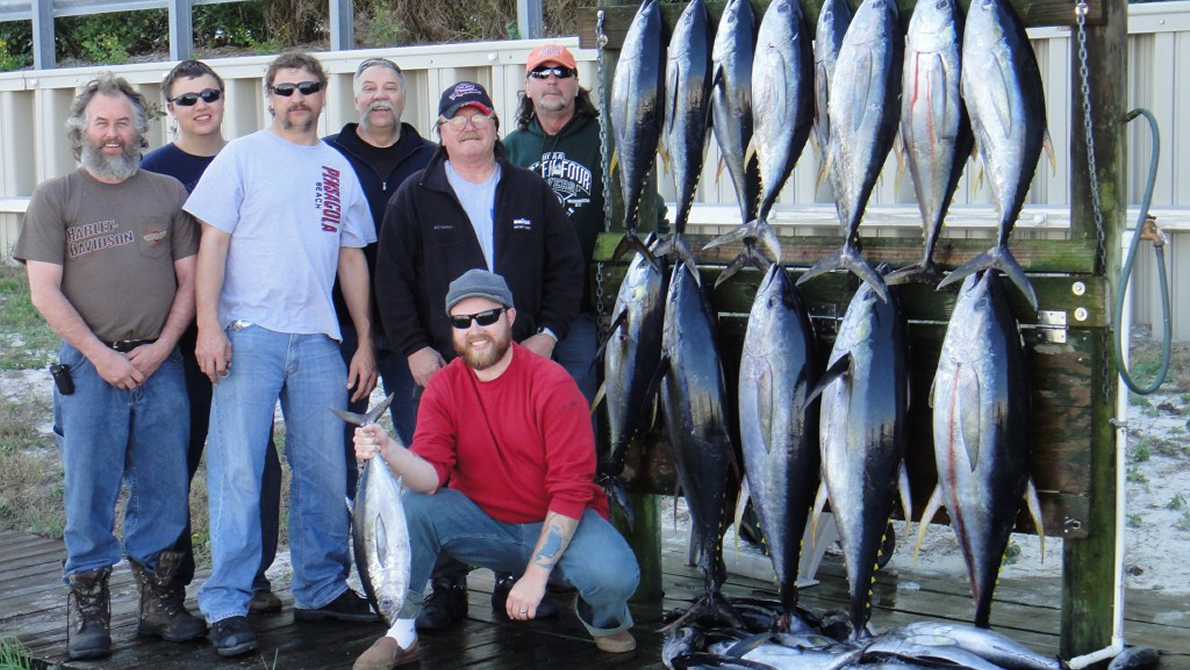 Cape Horn 31T Charter Inshore Gulf Deep Sea Fishing Destin Fl