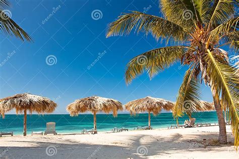 Caribbean Island Paradise Stock Photo Image Of Scenic 13547702