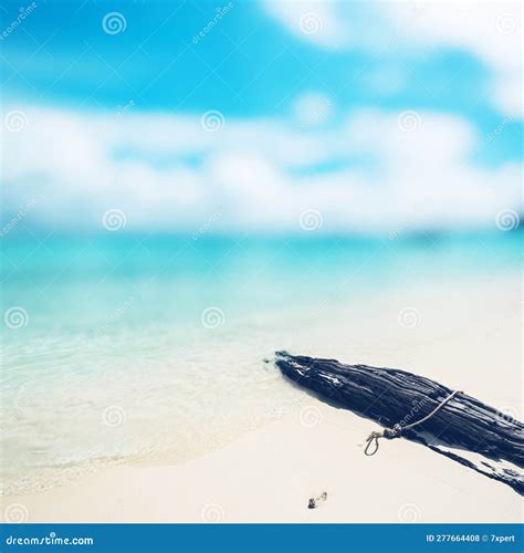 Caribbean Paradise Beach Stock Photo Image Of Wave 277664408