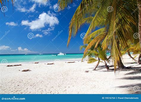 Caribbean Paradise Stock Photo Image Of Chaise Leaf 19516754