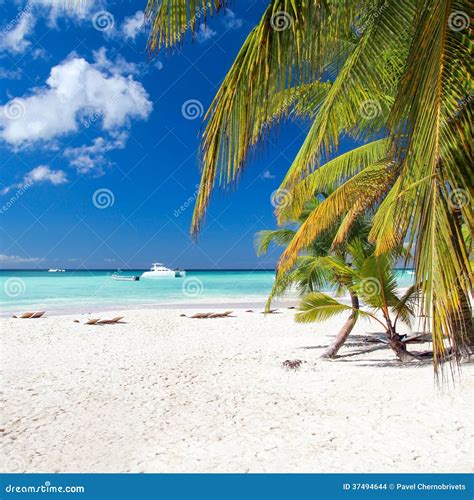 Caribbean Paradise Stock Photo Image Of Playa Resort 37494644