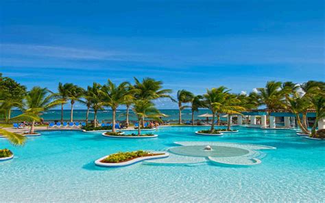 Caribbean Tropical Beaches Resorts Palm Trees Trees Blue Ocean Sandy