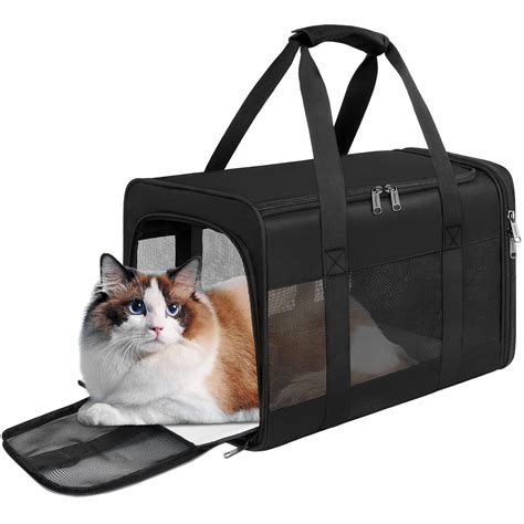 Cat Airline Travel Carrier Guide