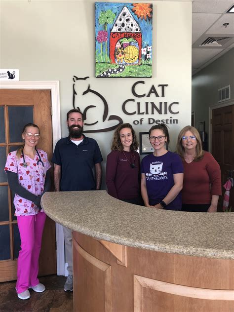 Destin FL Cat Clinic Services